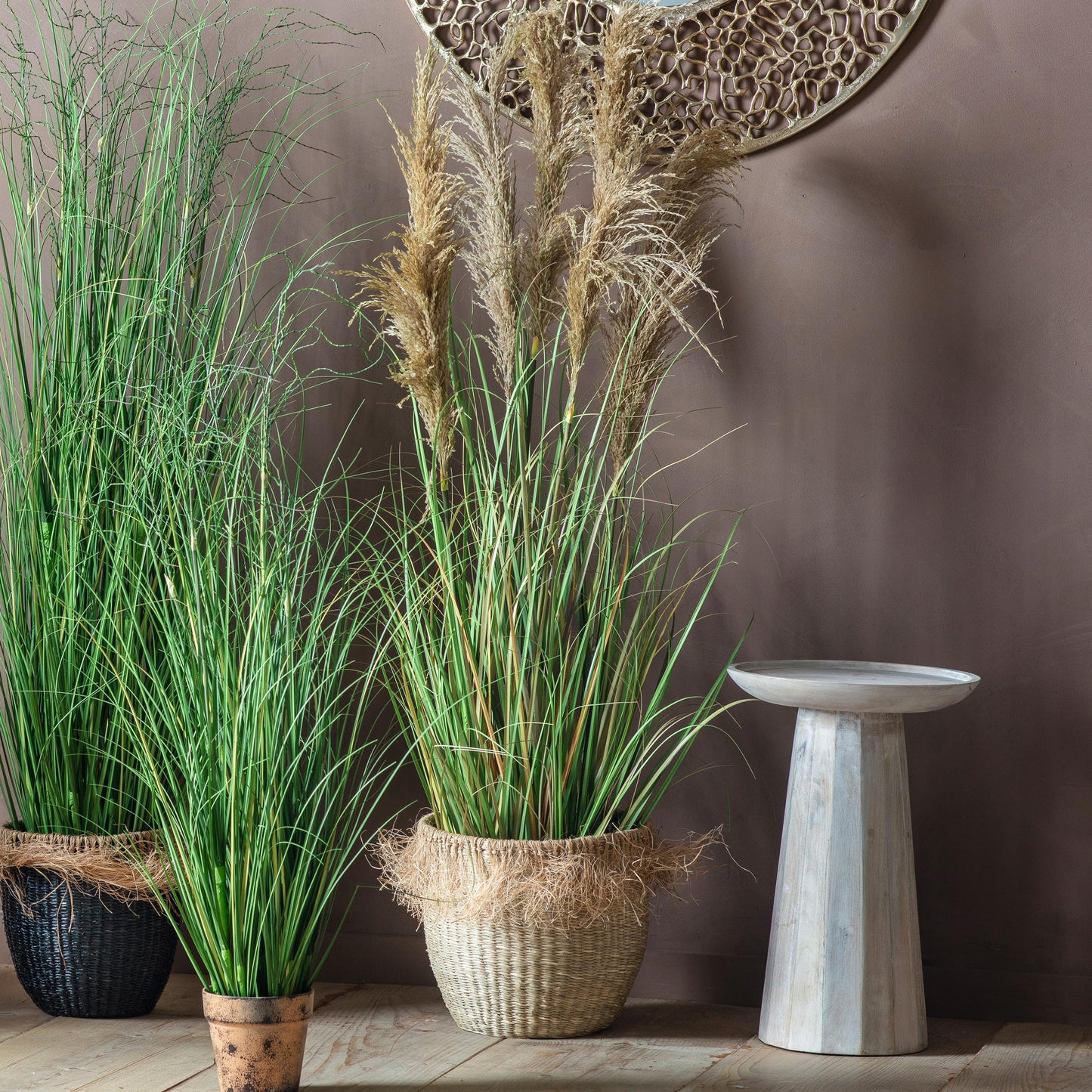 Pampas Grass 7 Heads