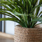 Mirissa Planter Small Natural