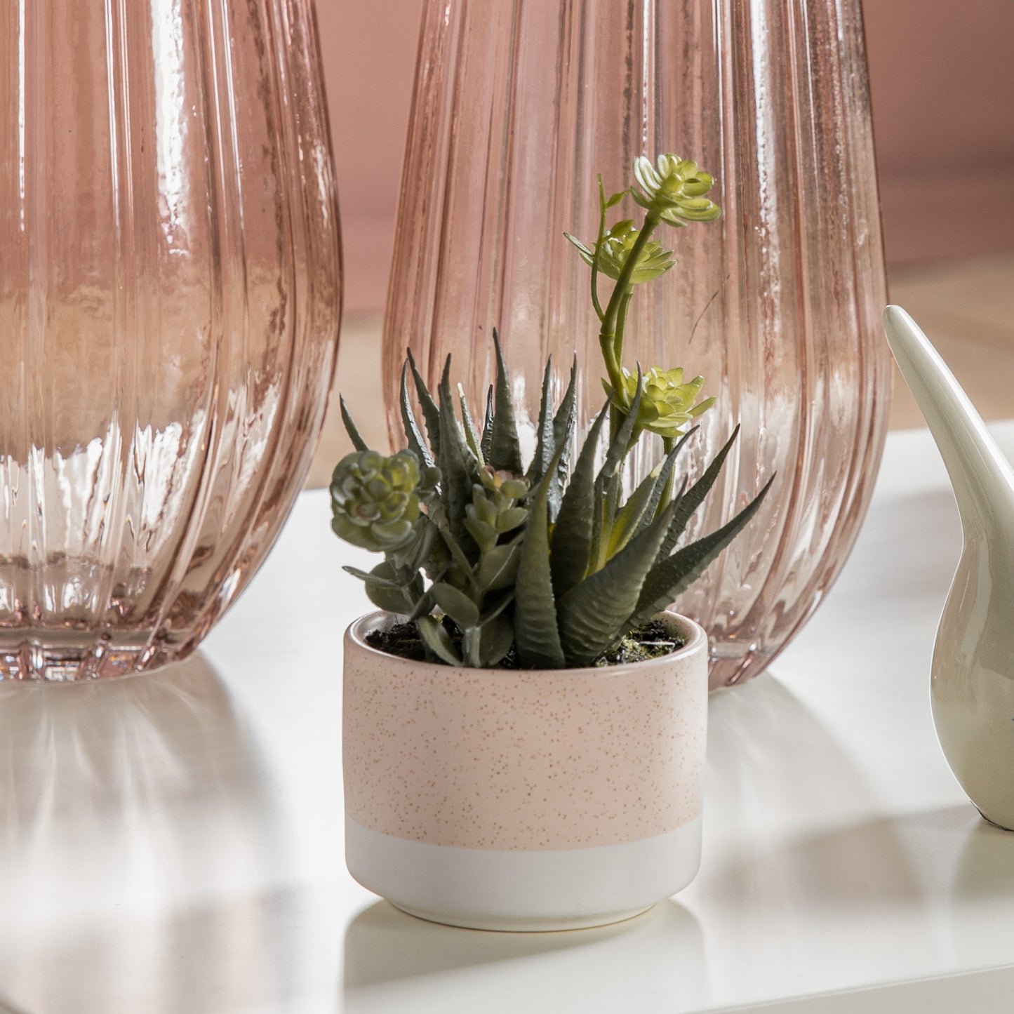 Potted Agave Mix in Ceramic Pot