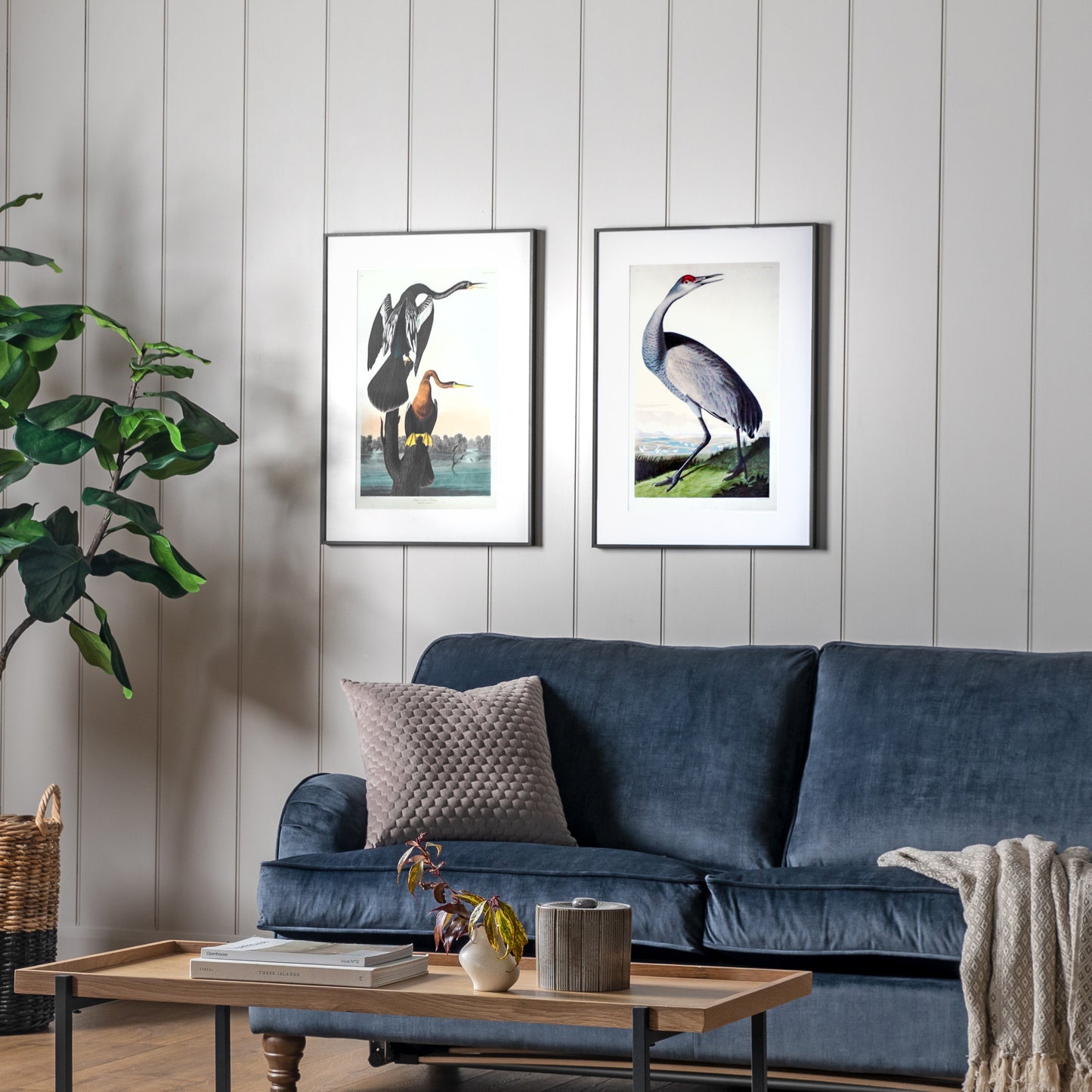 Exotic Fowl Study Framed Art (set of 2)